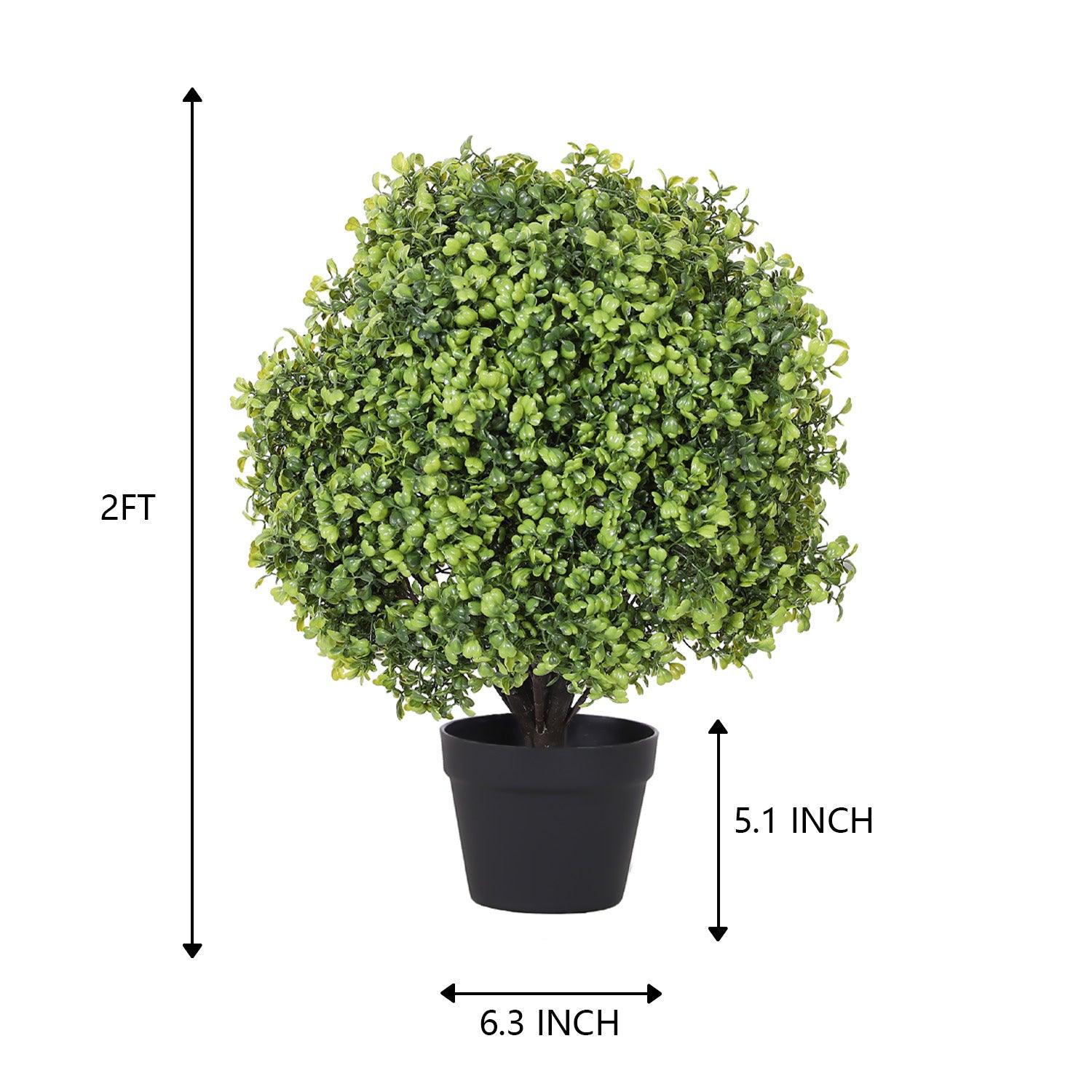 artificial-boxwood-green-size-picture-mypoetree-60cm-4X-000467
