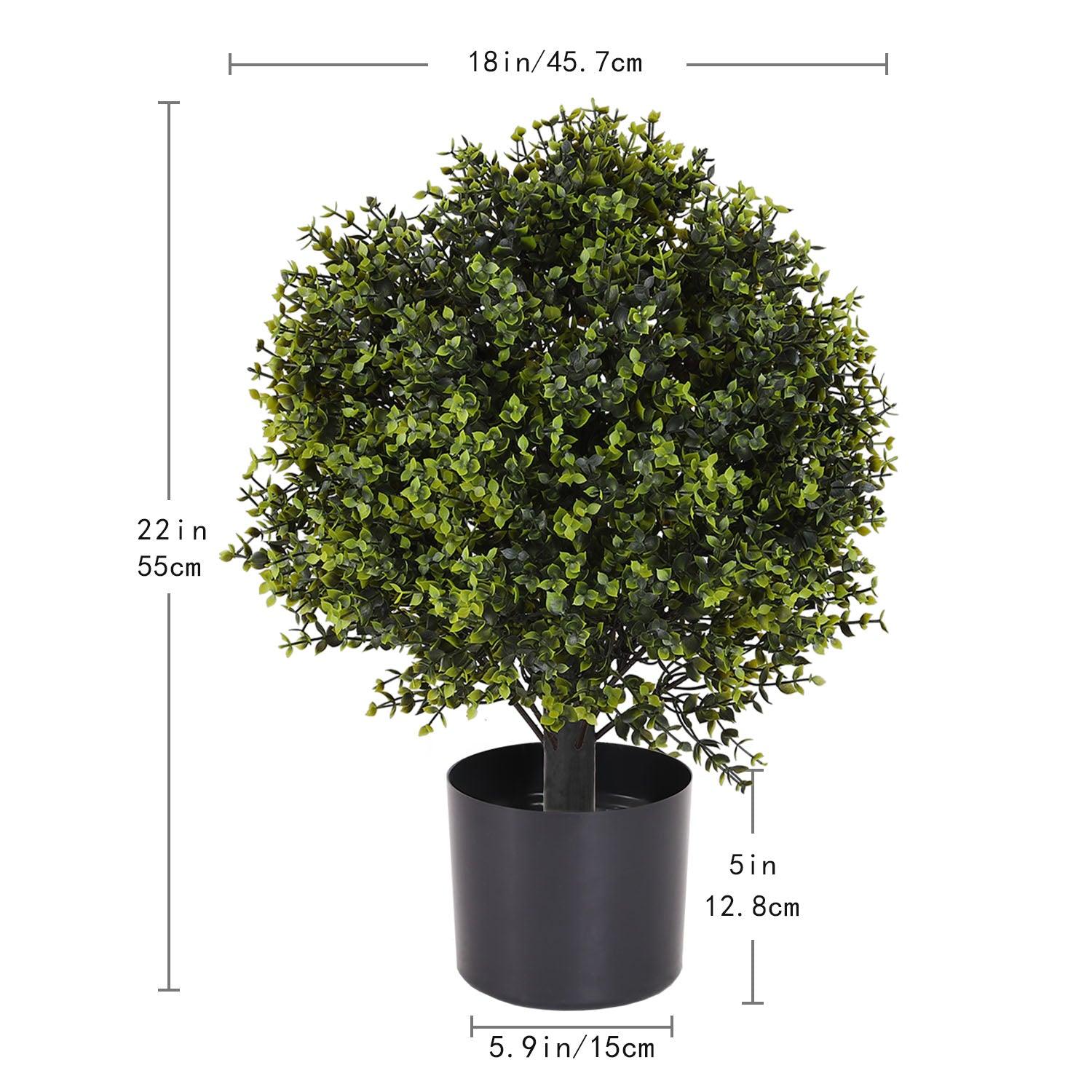 artificial-boxwood-trees-size-mypoetree-55cm-000693