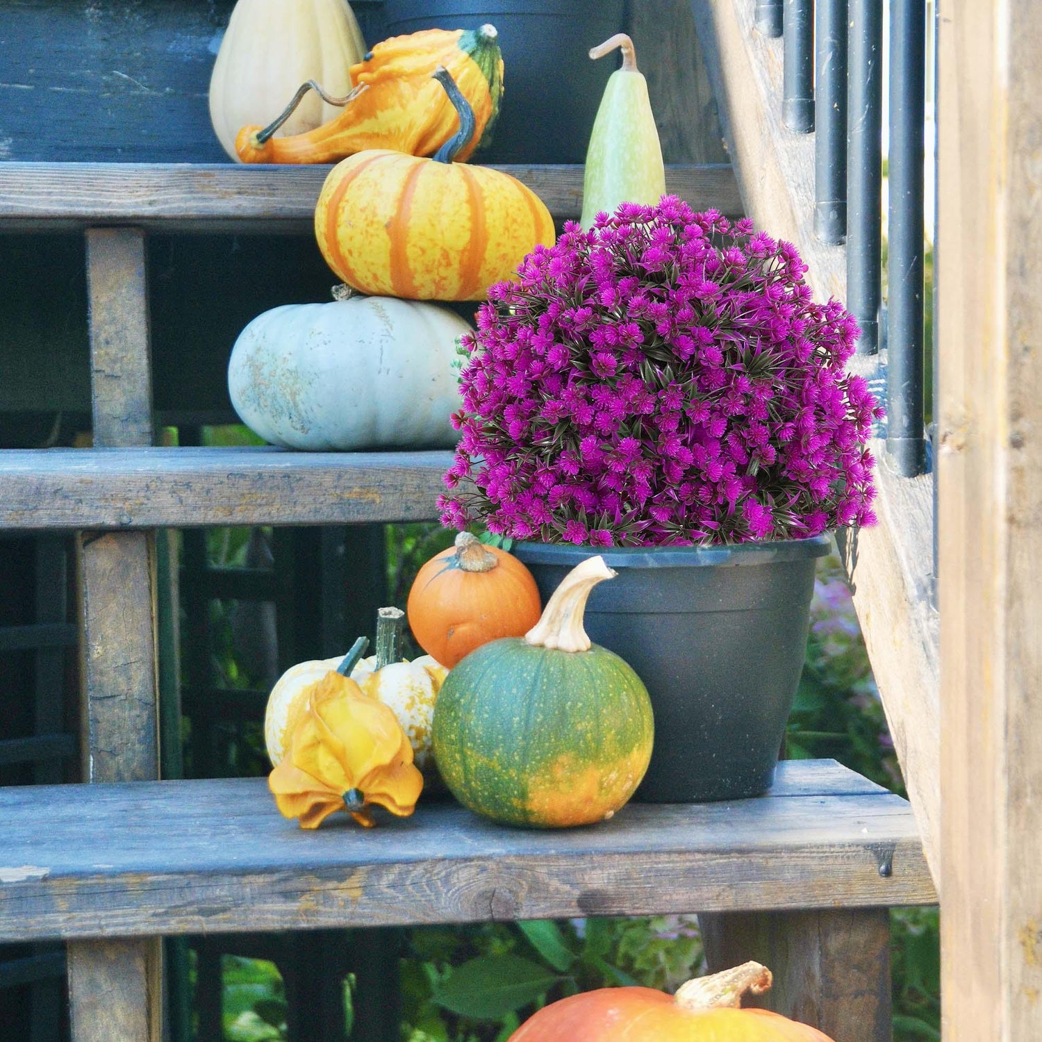 Brighten Your Farm or Porch with Pink Round Artificial Boxwood – Elegant & Low-Maintenance