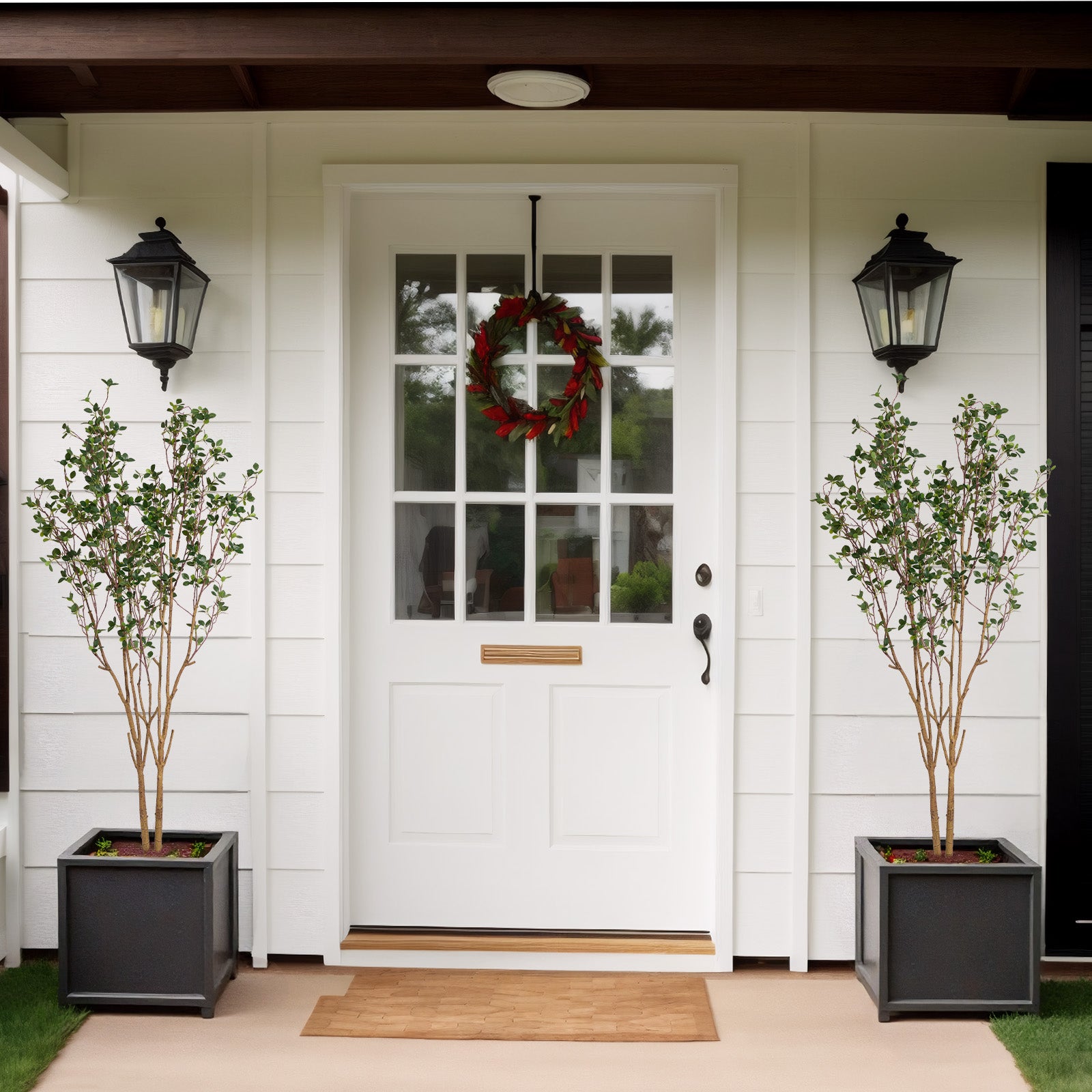 Evergreen Flowering Shrub for Year-Round Garden &amp; Indoor Decoration