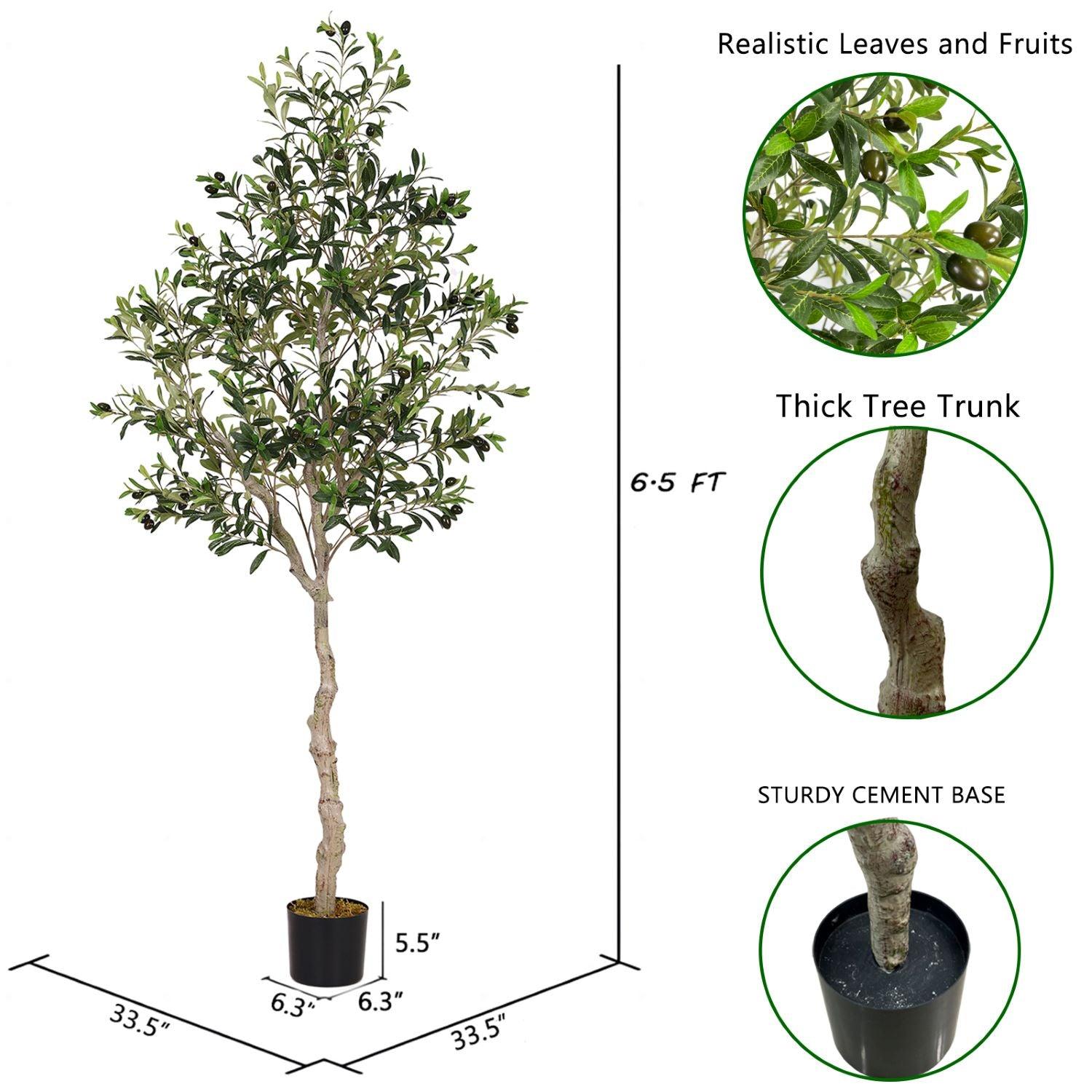 Olive Tree-Dimension Drawing