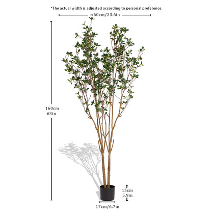 Evergreen Flowering Shrub for Year-Round Garden &amp; Indoor Decoration